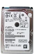 recupero dati hard disk hgst torino